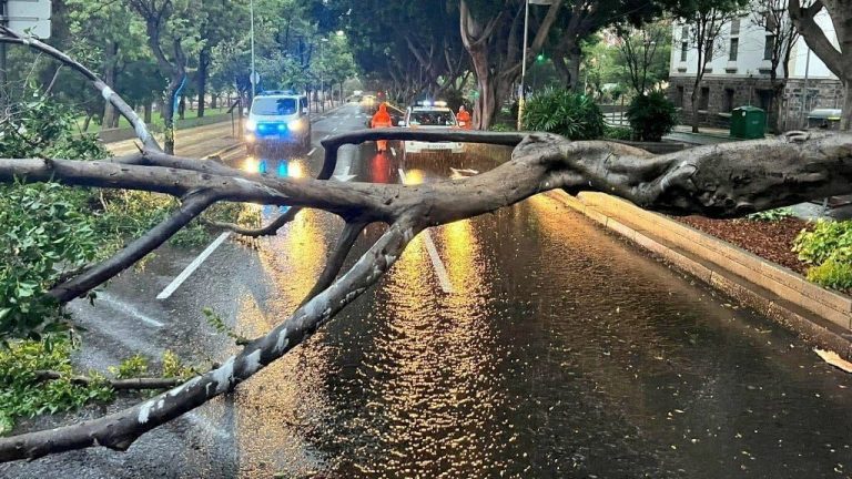 تحويل مسار أكثر من 640 رحلة جوية في جزر الكناري