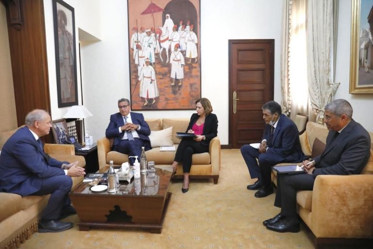 أخنوش يستقبل الرئيس المدير العام لمجموعة TUI الألمانية