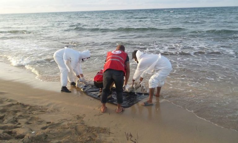 شفشاون.. شاطئ السطيحات يلفظ أعضاء بشرية