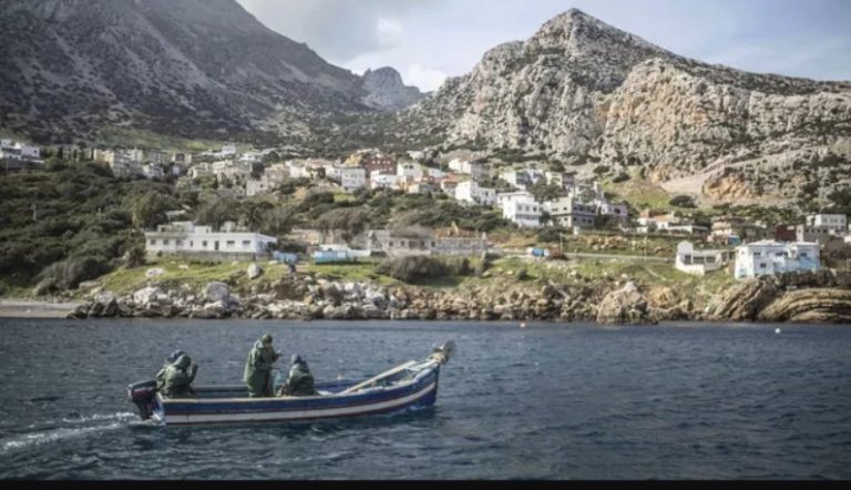 خبير عن حظر الصيد البحري : قرار صائب يهدف الى حماية الأنواع المهددة بالاختفاء
