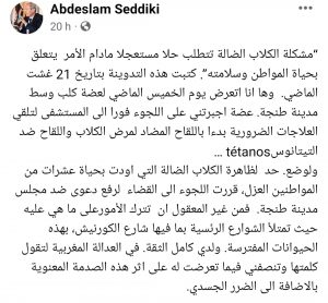 كلب ضال يعضّ الوزير الصديقي والأخير يقاضي مجلس جماعة طنجة 4 كلب ضال يعضّ الوزير الصديقي والأخير يقاضي مجلس جماعة طنجة