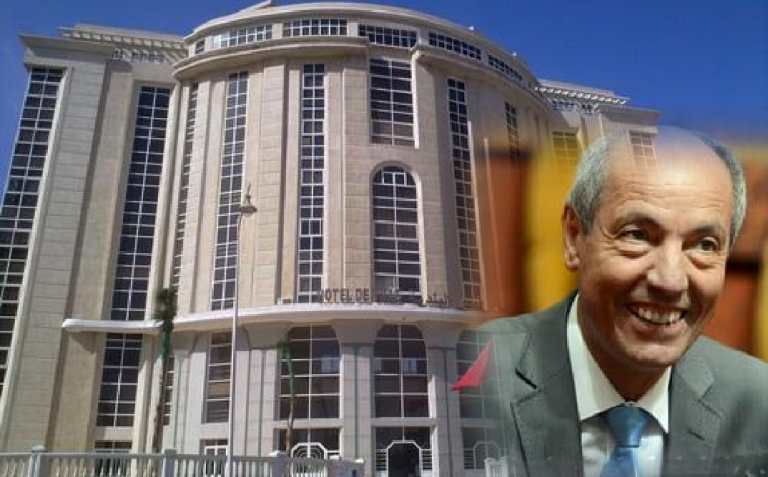 كلب ضال يعضّ الوزير الصديقي والأخير يقاضي مجلس جماعة طنجة