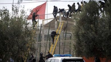 Photo of مجلس أوروبا : حق اللجوء في مليلية غير متاح فعليا للمهاجرين بالمغرب