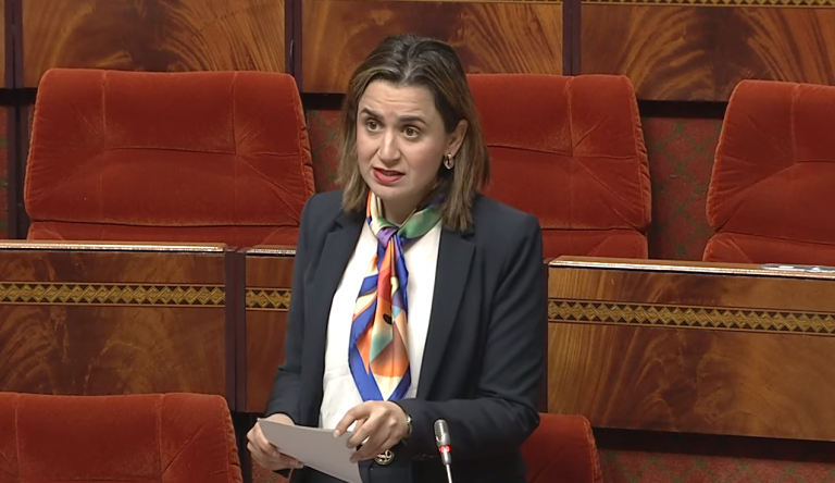 غيثة مزور : تغطية 9225 منطقة ترابية بالأنترنت