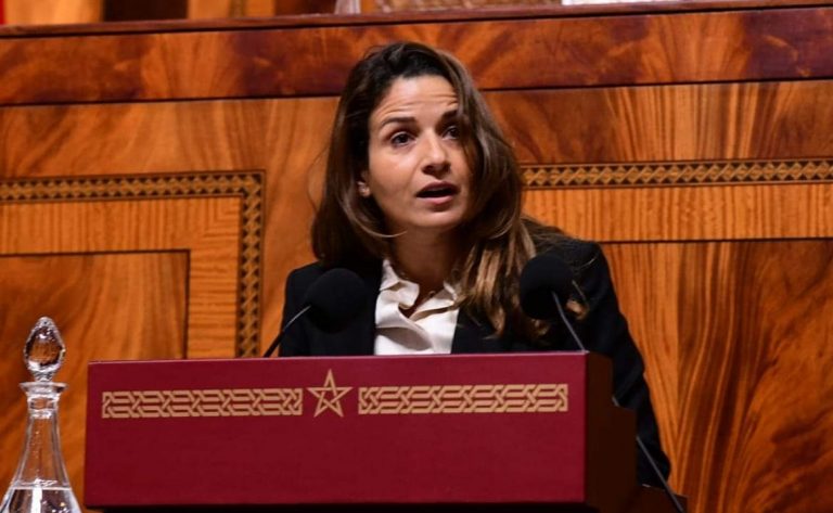 بنعلي: "الإطار القانوني الحالي لا يتيح للدولة التدخل مباشرة في المخزون الاستراتيجي"