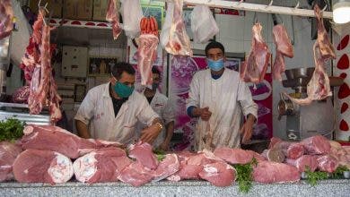Photo of الحكومة تلغي هذا الشرط لتوفير اللحوم الحمراء