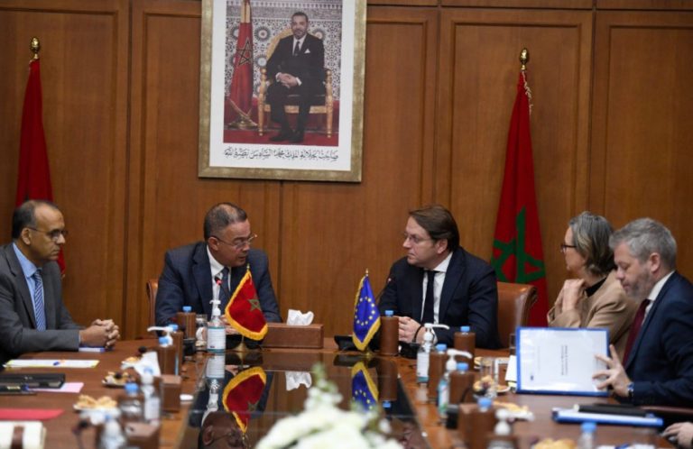 خبيرة أمريكية : زيارة "فارهيلي" تعكس قوة الشراكة المغربية الأوروبية