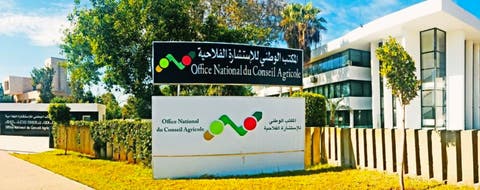 المكتب الوطني للاستشارة منصة لمواكبة ناجعة وفعالة للفلاحين