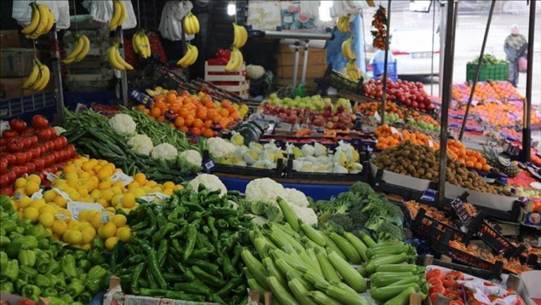 أسعار الخضر بالدار البيضاء تشهد انخفاضا نسبيا مع تسجيل وفرة في المنتوجات