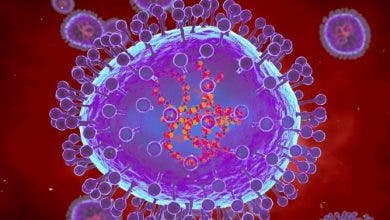 Photo of الفيروس الغامض”.. السلطات الأميركية تحذر من مرض “يصعب اكتشافه”