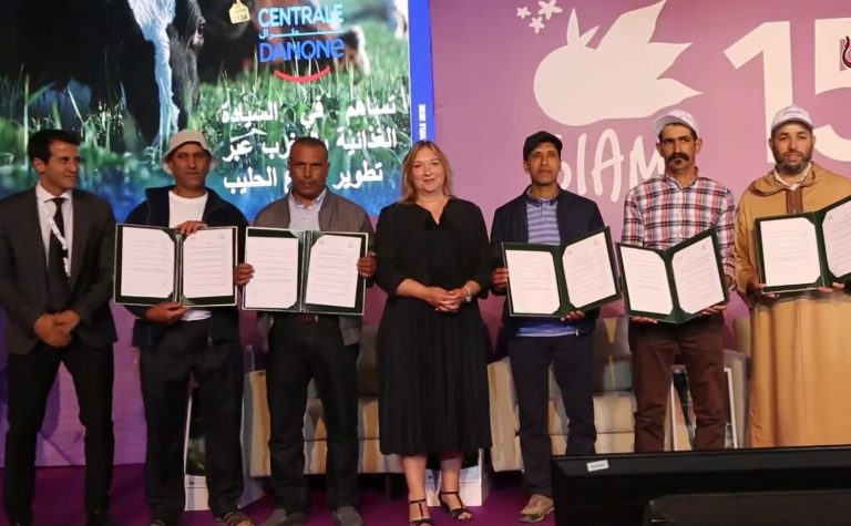 "سنطرال دانون" تطلق المرحلة الثانية من "حليب بلادي" لتحقيق الاكتفاء الذاتي للمغاربة