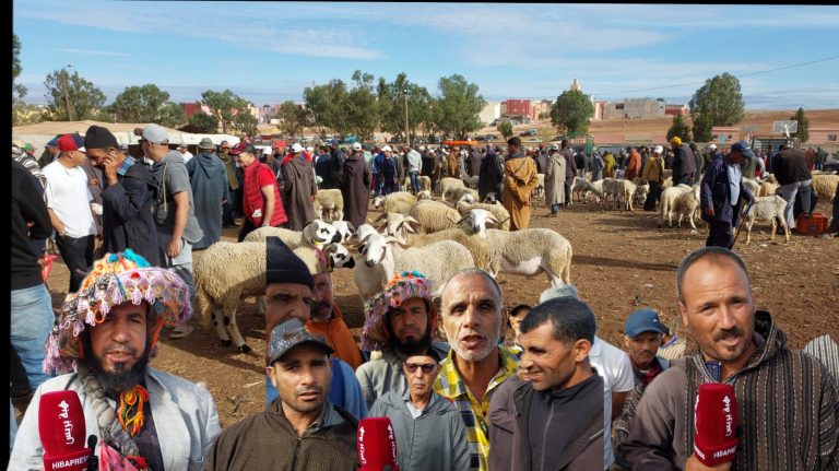 هبة بريس بسوق أربعاء أولاد سعيد.. الحولي داير الثمن والكسابة باغين الدعم "فيديو"