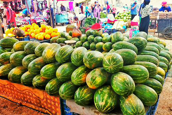رغم أزمة الماء.. البطيخ الأحمر يغزو شوارع المغرب بأسعاره الاعتيادية