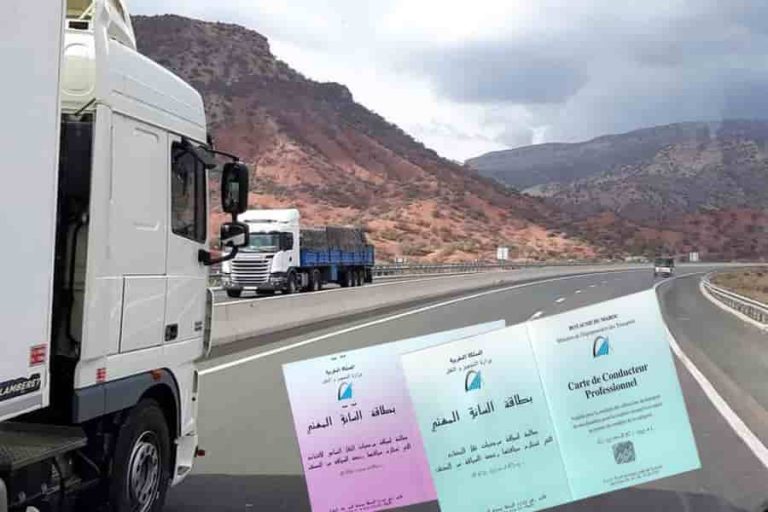 الحصول على بطاقة السائق المهني.. تمديد أجل التسجيل