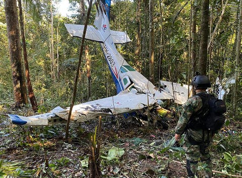 بعد 40 يوما.. العثور على أطفال نجوا من تحطم طائرة بكولومبيا