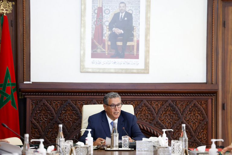 الحكومة تصادق على تغيير رسم الاستيراد المفروض على بعض المواد الصيدلية