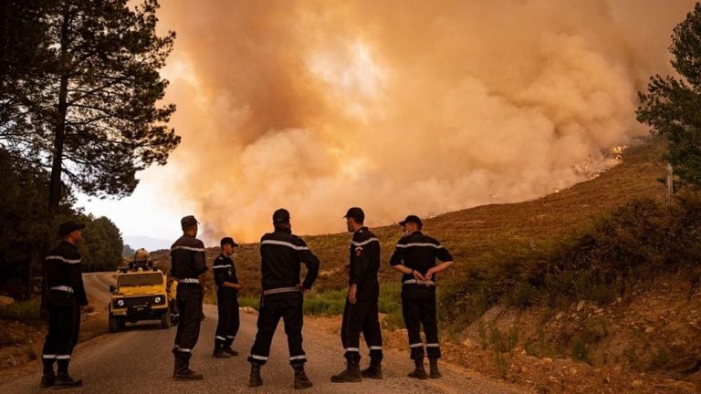 الجزائر.. 15 وفاة و26 إصابة جراء حرائق الغابات
