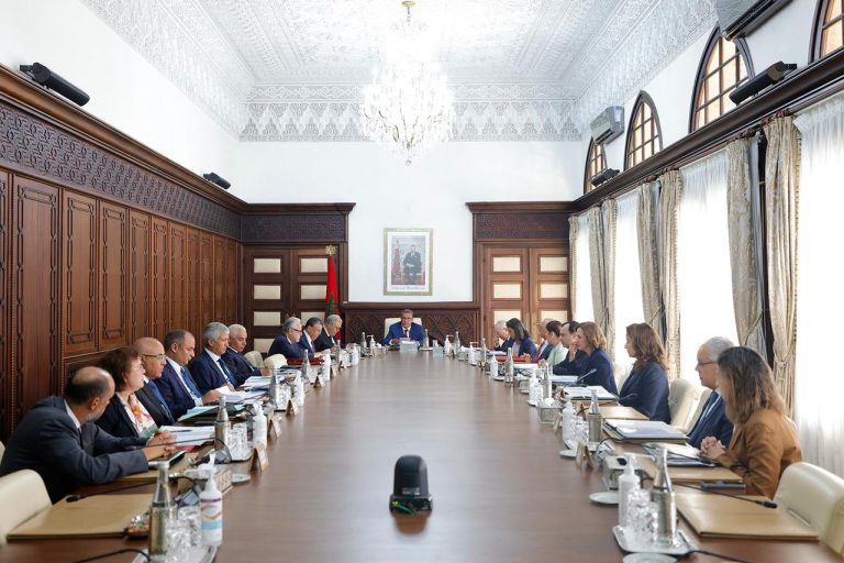 الحكومة تصادق على مشروع مرسوم يتعلق بالوقاية الصحية لتربية الطيور الداجنة