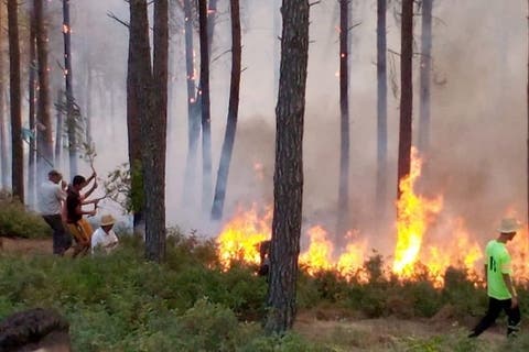 سلطات تازة تنجح في إخماد حريق مهول بغابة بوخالد