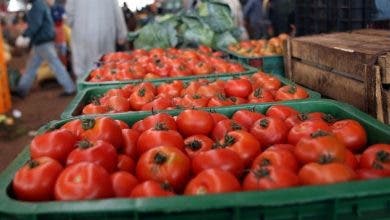 Photo of درجات الحرارة تدفع المهنيين لرفع سعر الطماطم بدرهمين للكيلوغرام الواحد