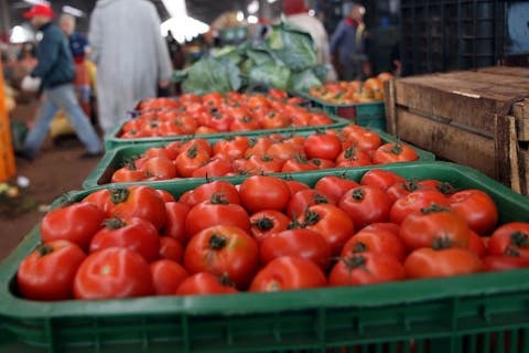 درجات الحرارة تدفع المهنيين لرفع سعر الطماطم بدرهمين للكيلوغرام الواحد