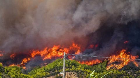 الجهود متواصلة لإخماد حريق مهول بغابة “مغراوة” بتازة