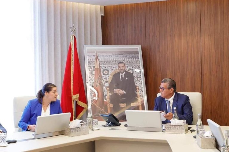 المنصوري تقدم لأخنوش عرضا حول الصيغة المحينة لمشروع "دعم السكن"