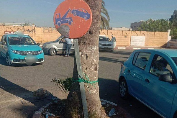 علامة تشوير وعشق النخلة.. ومقولة "الرُّبْطة زُغْبية"