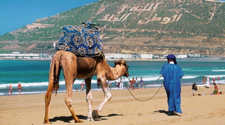 لثلاث سنوات ...إطلاق برنامج لتعزيز الرأسمال البشري