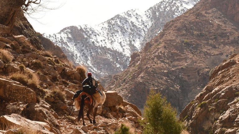 انطلاق عملية "رعاية" لتعزيز التكفل الصحي بساكنة المناطق النائية
