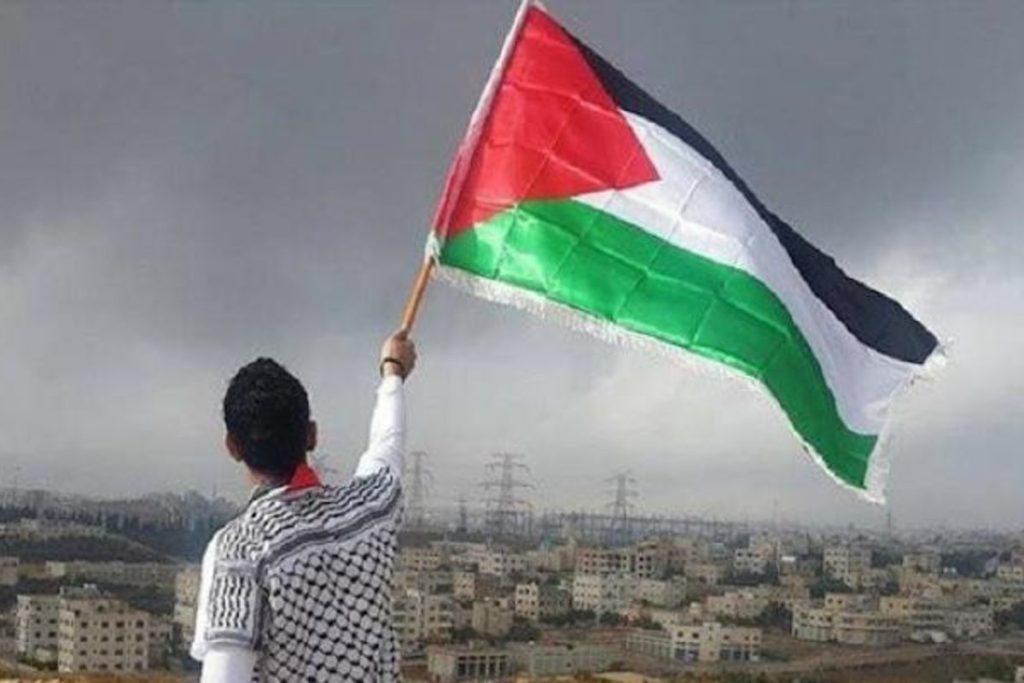 تضامنا مع فلسطين..ناشط يوقف المباراة النهائية لكأس العالم للكريكت ( صورة)