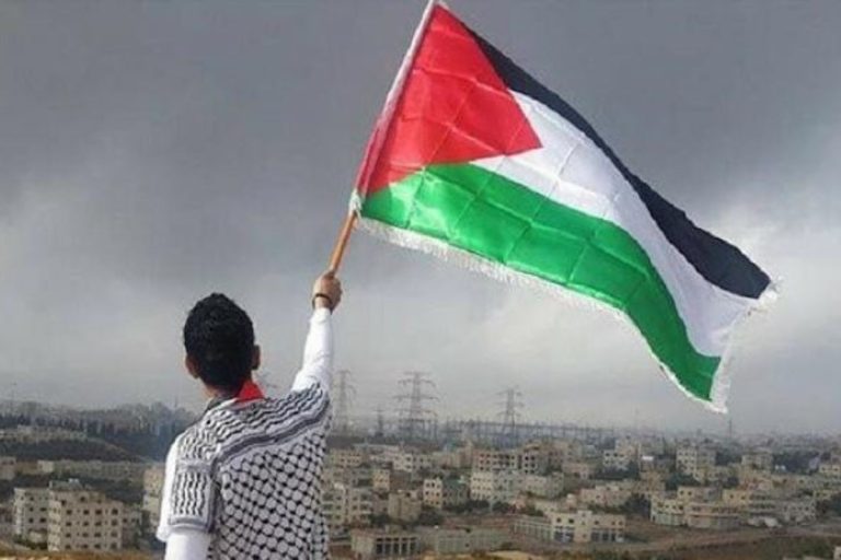 تضامنا مع فلسطين..ناشط يوقف المباراة النهائية لكأس العالم للكريكت ( صورة)