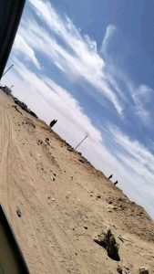 البوليساريو تستعين بالدرك الجزائري بعد الفشل في احتواء انفلات أمني خطير بمخيمات تندوف ( صور)