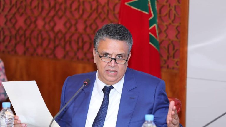 وهبي: المغرب يناهض الميز ويكرس قيم المساواة