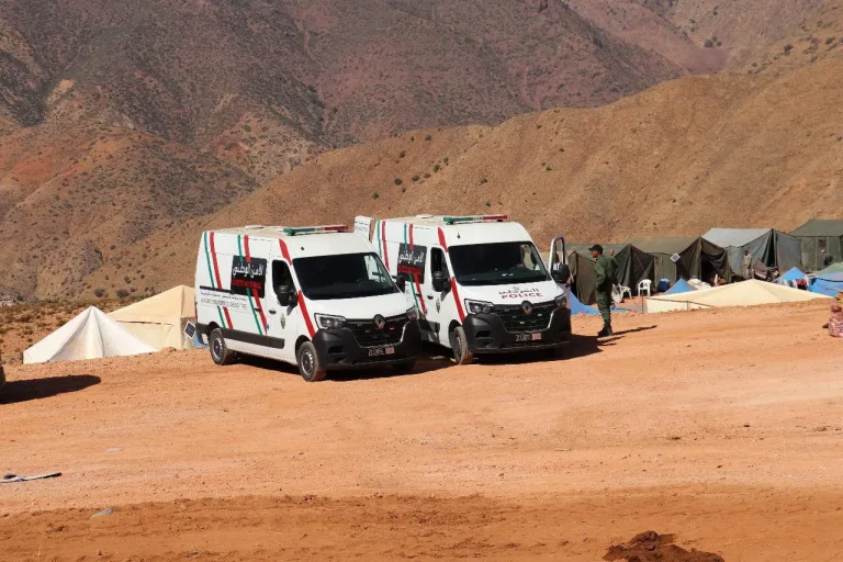 إنجاز 11048 وثيقة تعريفية "مجانية" لفائدة ضحايا الزلزال
