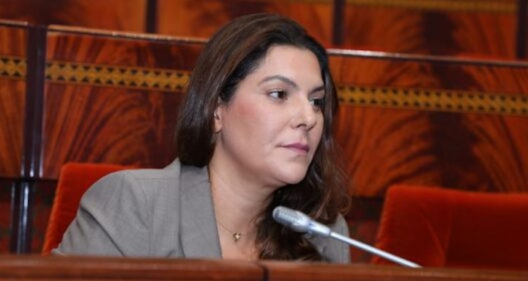 برلماني لـ"الوزيرة المنصوري": "نتي الشميعة اللي مضوية الحكومة"