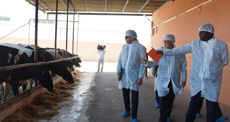 وفد زامبي يزور العيون للاستفادة من التجربة المغربية في القطاع الفلاحي