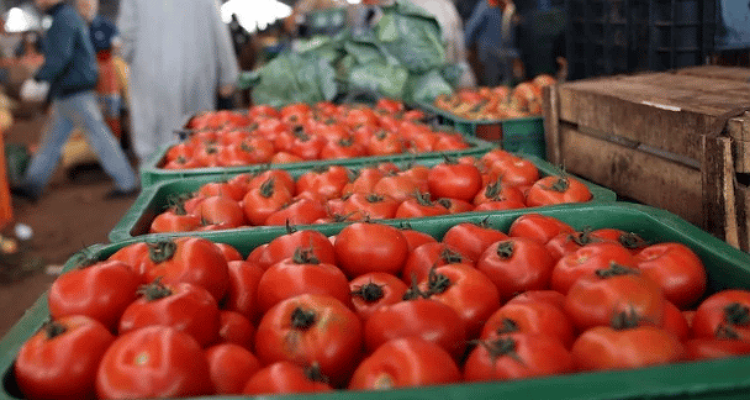 الطماطم تستقر في 15 درهما والدجاج يتجاوز 20 درهم.. تكلفة القفة اليومية تصدم المغاربة