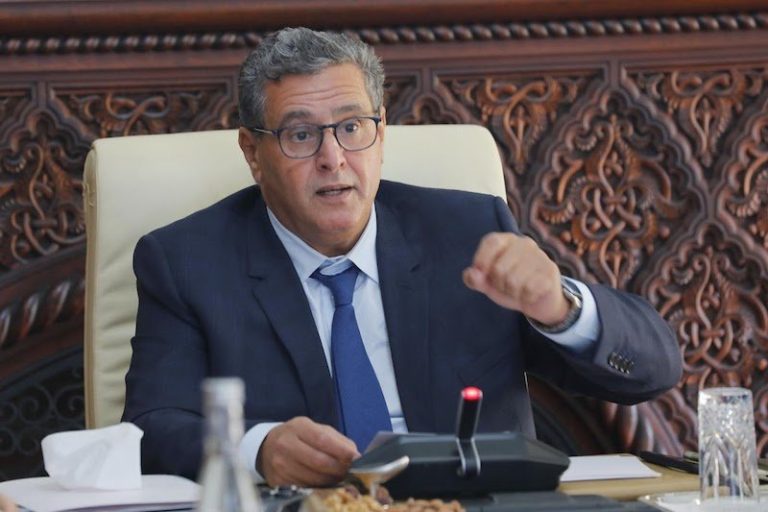 أخنوش: الحكومة معبأة خلف جلالة الملك لتفعيل التنمية المجالية