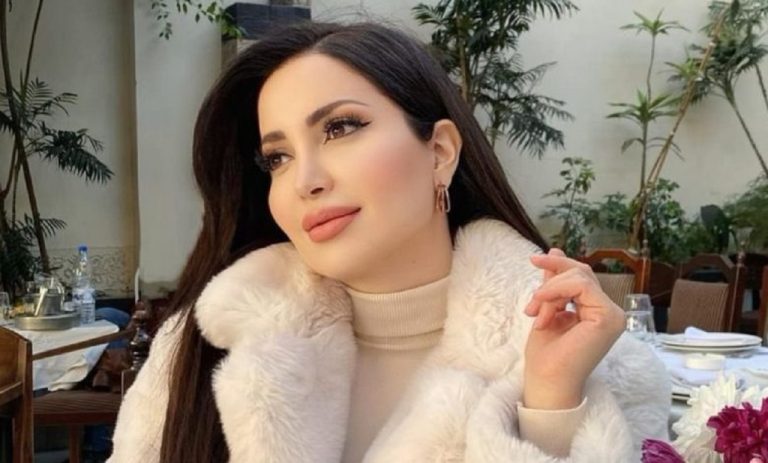 السجن والغرامة.. القضاء يحسم مصير الفنانة نسرين طافش