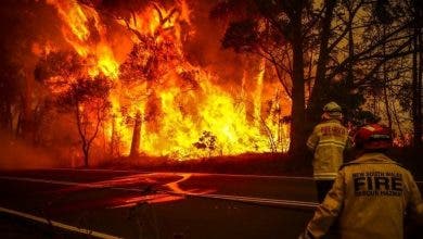 Photo of أستراليا .. حرائق غابات تجتاح ولاية فيكتوريا وتدمر عددا من المنازل