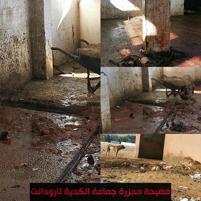 تارودانت: وضعية كارثية لمجزرة "الكدية البيضاء" ومطالب بتدخل مستعجل