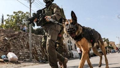 Photo of اسرائيل تعترف بفشل كلابها المدربة أمام “كلاب” حماس