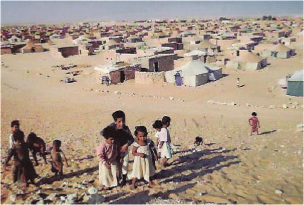 بالنبيال ..اجماع دولي بالأوضاع الغير إنسانية لمحتجزي تيندوف