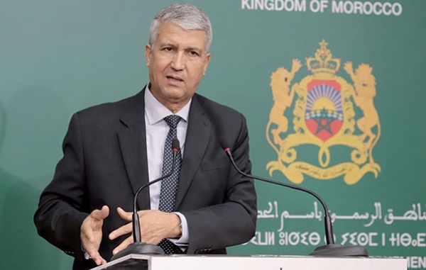 صديقي: "المغرب اعتمد استراتيجية مندمجة لمكافحة سوسة النخيل الحمراء