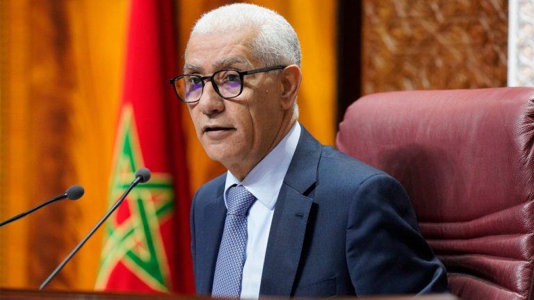 العلمي: بلدان الجنوب تتوفر على جميع الإمكانيات والمقومات للنهوض والصعود