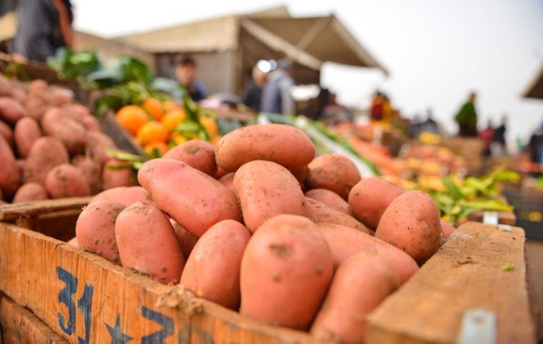 الرسوم الجمركية تكبد مصدري الخضر و الفواكه المغاربة خسائر مادية و ترفع الأسعار بموريتانيا