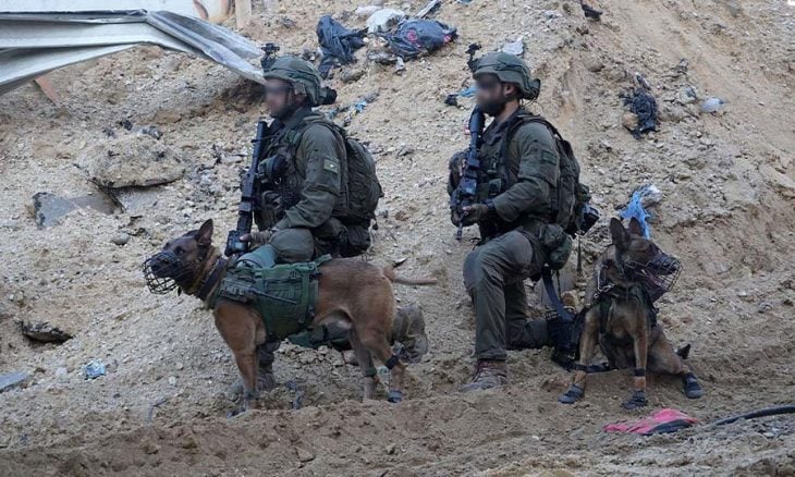 إسرائيل تعلن تحرير 4 رهائن في قطاع غزة
