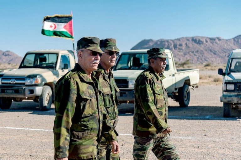 "أفول الانفصال ": الوجه الحقيقي للبوليساريو ..”النشأة (2) ”