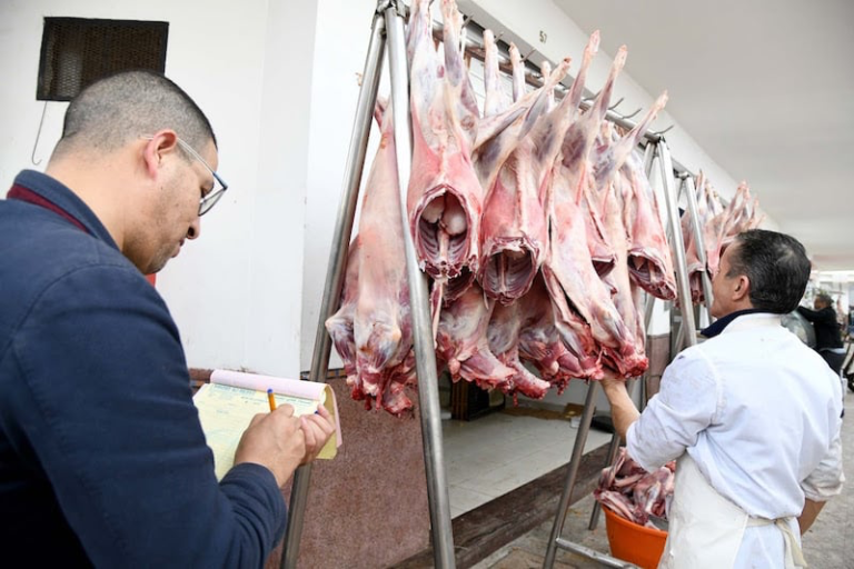 عبد الوافي لفتيت يقدم حصيلة لجن مراقبة اللحوم وهذا ما تم حجزه